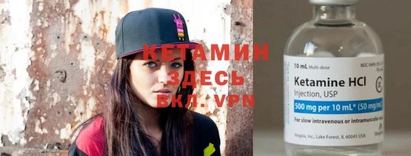крисы Абаза