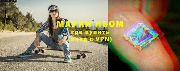 крисы Абаза