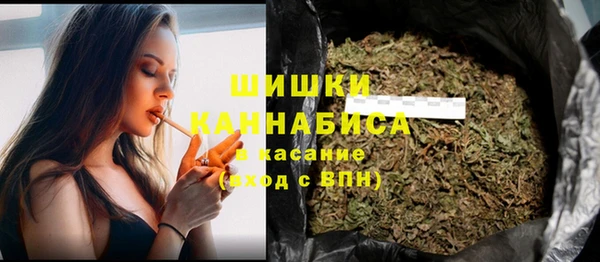 крисы Абаза