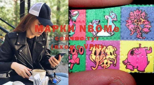 крисы Абаза
